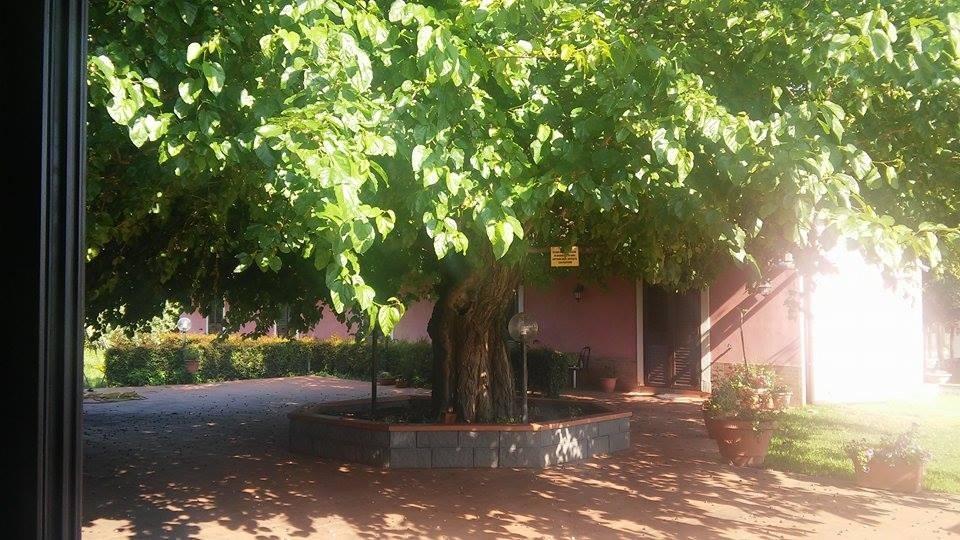 Agriturismo Il Pozzo Antico Mascali Exteriör bild